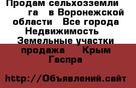 Продам сельхозземли ( 6 000 га ) в Воронежской области - Все города Недвижимость » Земельные участки продажа   . Крым,Гаспра